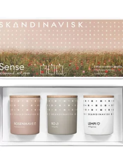 Fashion Komplet Swiec Zapachowych Sense, 3 Elem. Świece Zapachowe