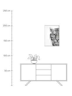 Flash Sale Oprawiony Druk Cyfrowy White Tiger Obrazy I Grafiki